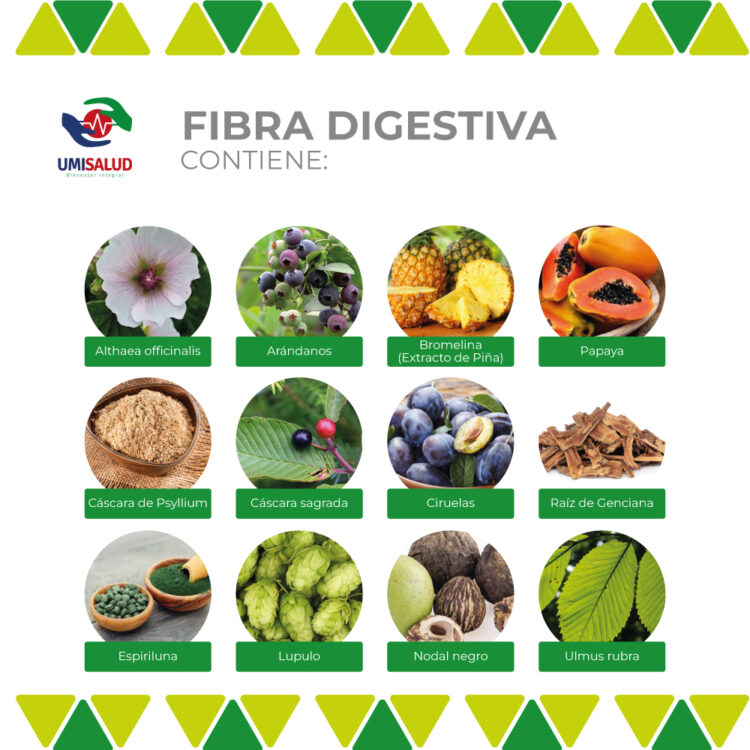 Fibra Digestiva - Image 2