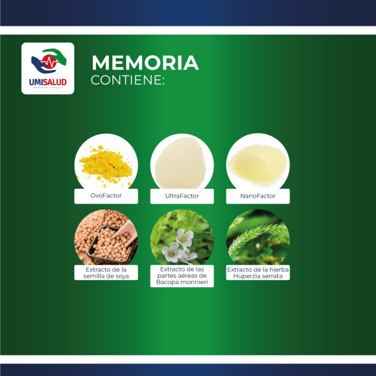 Memoria - Image 2