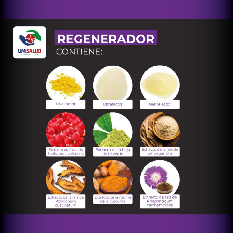 Regenerador - Image 2