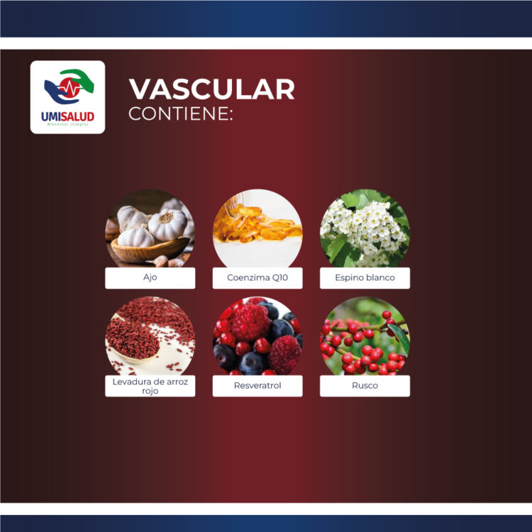 Vascular - Image 2