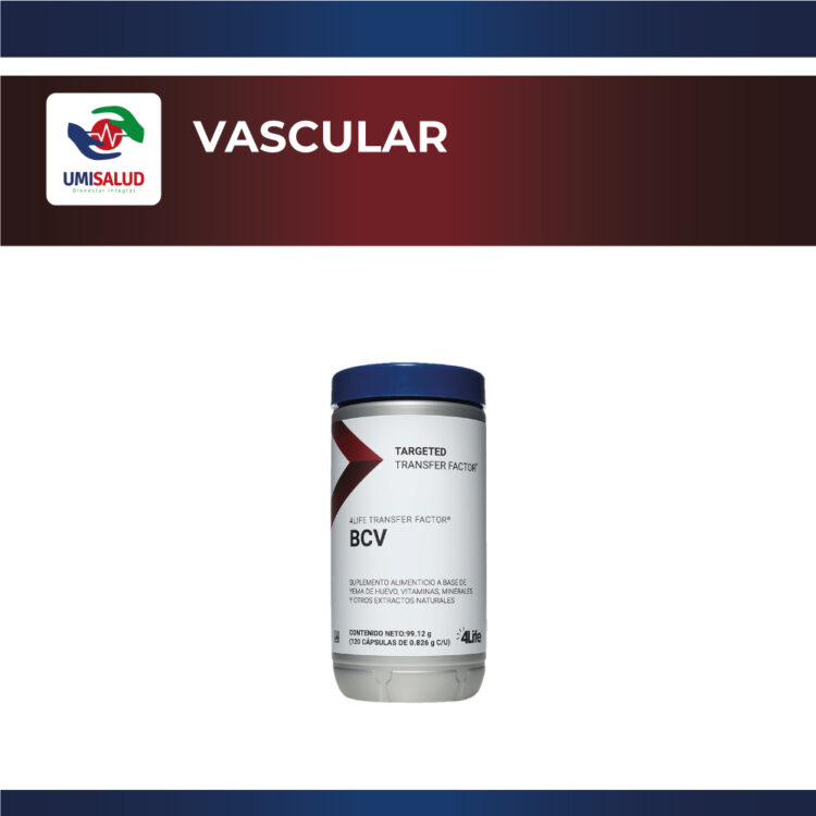 Vascular - Image 3